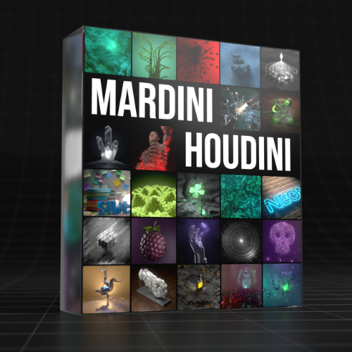 Houdini Mardini Projects 2026
